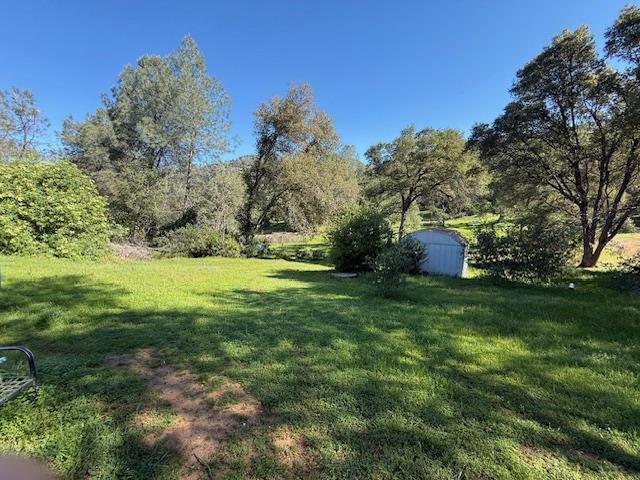 4565 Morgan Road Angels Camp, CA 95222 - Photo 13 of 43 view of pasture featuring a storage shed