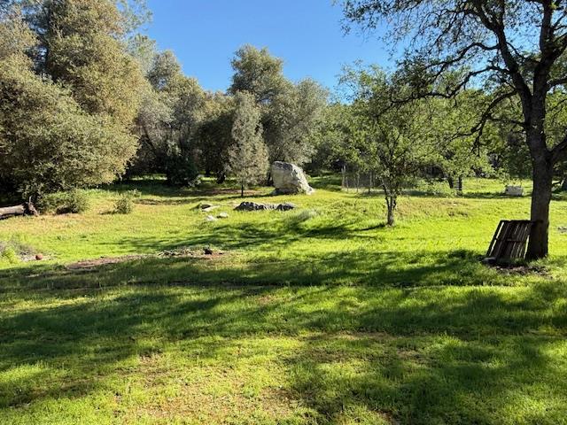 4565 Morgan Road Angels Camp, CA 95222 - Photo 14 of 43 18.84 AC