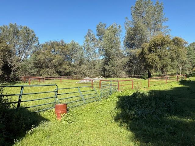 4565 Morgan Road Angels Camp, CA 95222 - Photo 16 of 43 pipe fenced corral