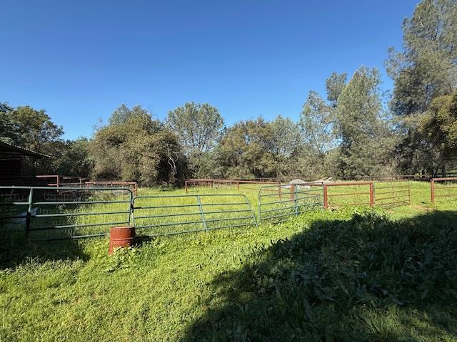 4565 Morgan Road Angels Camp, CA 95222 - Photo 18 of 43