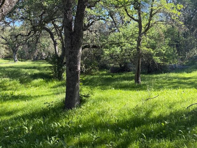 4565 Morgan Road Angels Camp, CA 95222 - Photo 22 of 43 so pretty