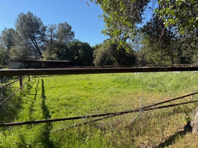 4565 Morgan Road Angels Camp, CA 95222 - Photo 23 of 43