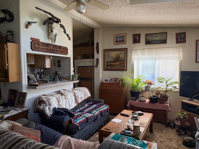 4565 Morgan Road Angels Camp, CA 95222 - Photo 24 of 43 living room with ceiling fan and carpet flooring