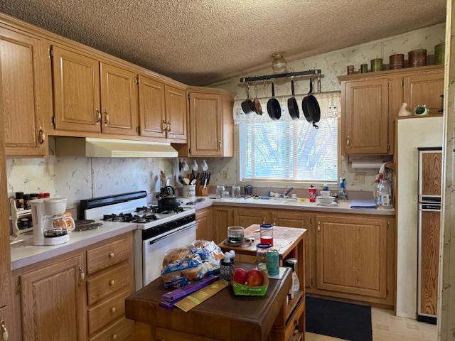 4565 Morgan Road Angels Camp, CA 95222 - Photo 26 of 43 kitchen