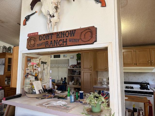 4565 Morgan Road Angels Camp, CA 95222 - Photo 28 of 43 pass through