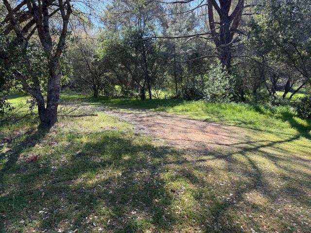 4565 Morgan Road Angels Camp, CA 95222 - Photo 5 of 43 view of acreage