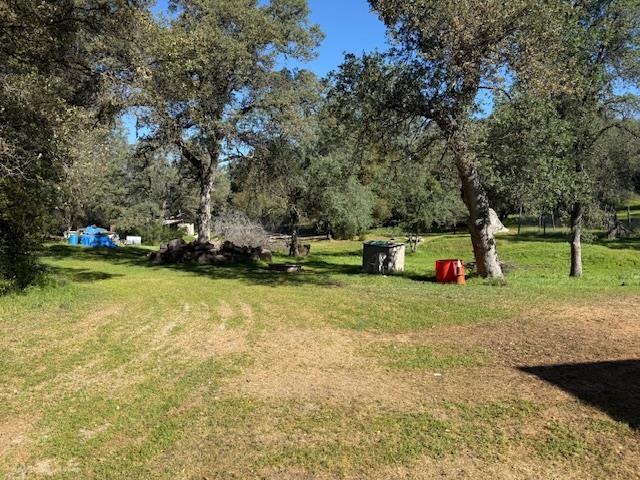 4565 Morgan Road Angels Camp, CA 95222 - Photo 6 of 43 view of green pasture with view of wooded area