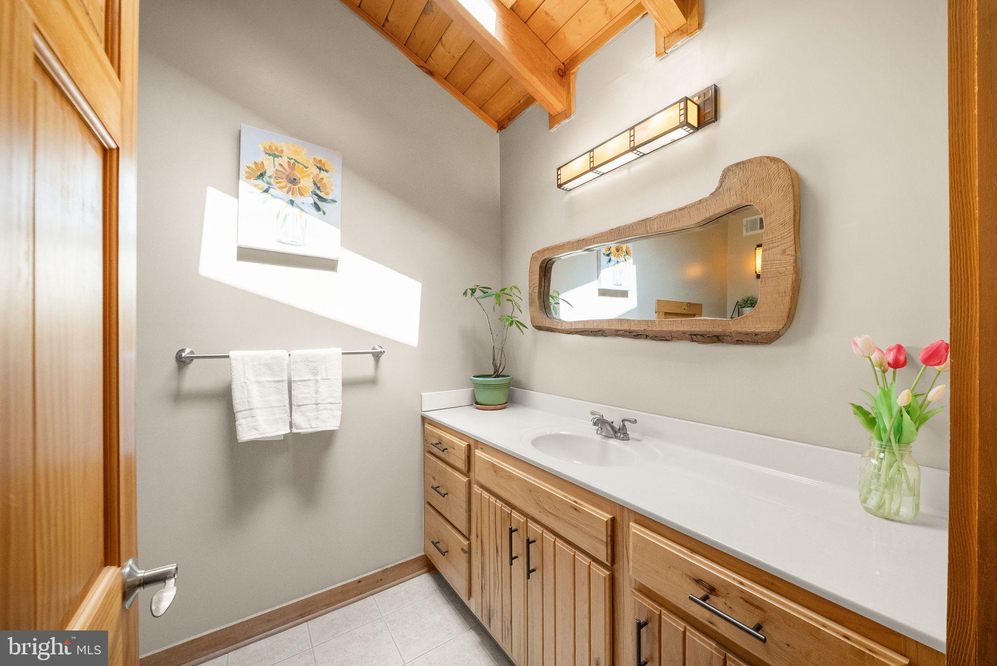 4020 Millwood Road Boyce, VA 22620 - Photo 58 of 132 Large upper level full bathroom w/ log cabin charm