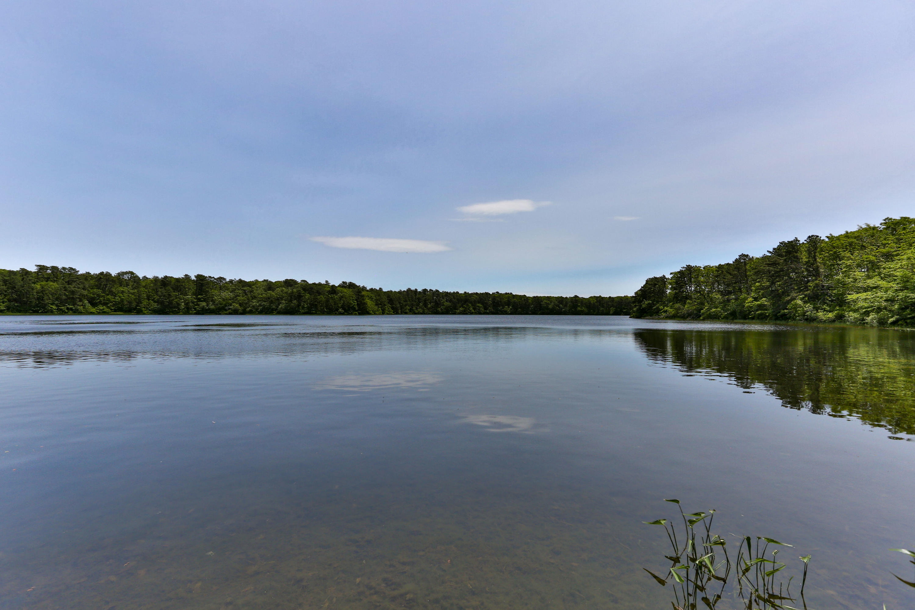 20 Rogers Road Harwich, MA 02645 - Photo 44 of 52 Robbins Pond around the corner