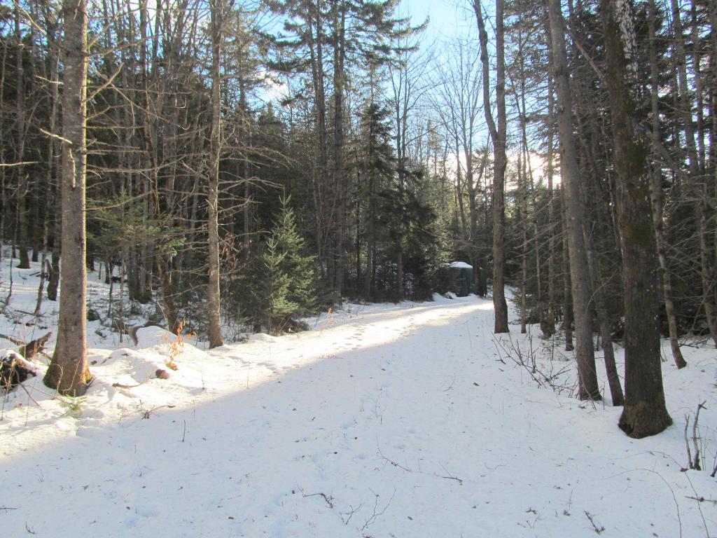 3787 Sheffield Square Road Sheffield, VT 05839 - Photo 3 of 10