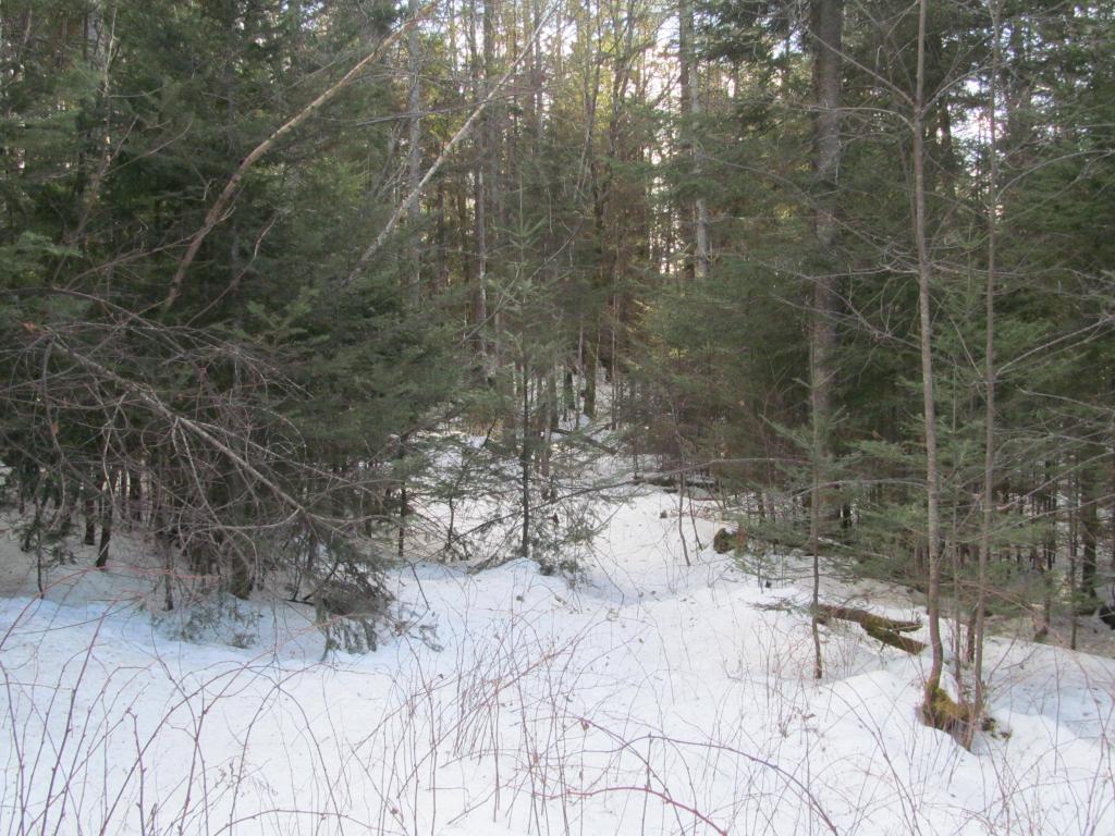 3787 Sheffield Square Road Sheffield, VT 05839 - Photo 6 of 10