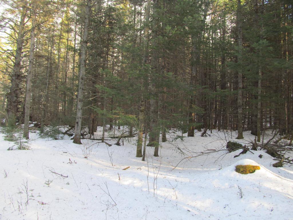 3787 Sheffield Square Road Sheffield, VT 05839 - Photo 7 of 10