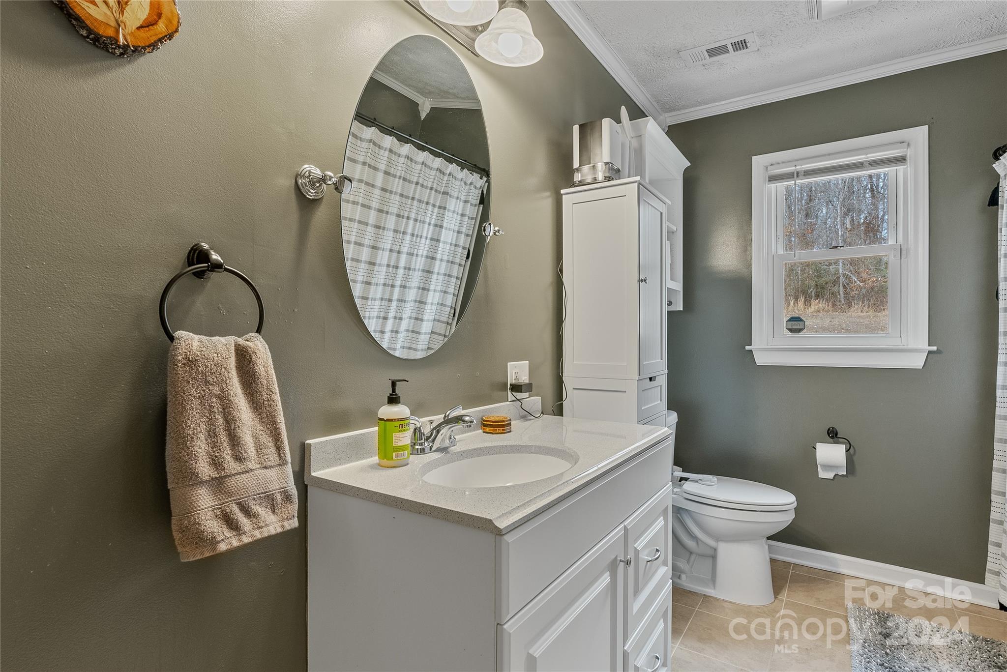242 Maple Creek Road Rutherfordton, NC 28139 - Photo 20 of 37 a bathroom with a sink toilet and a mirror