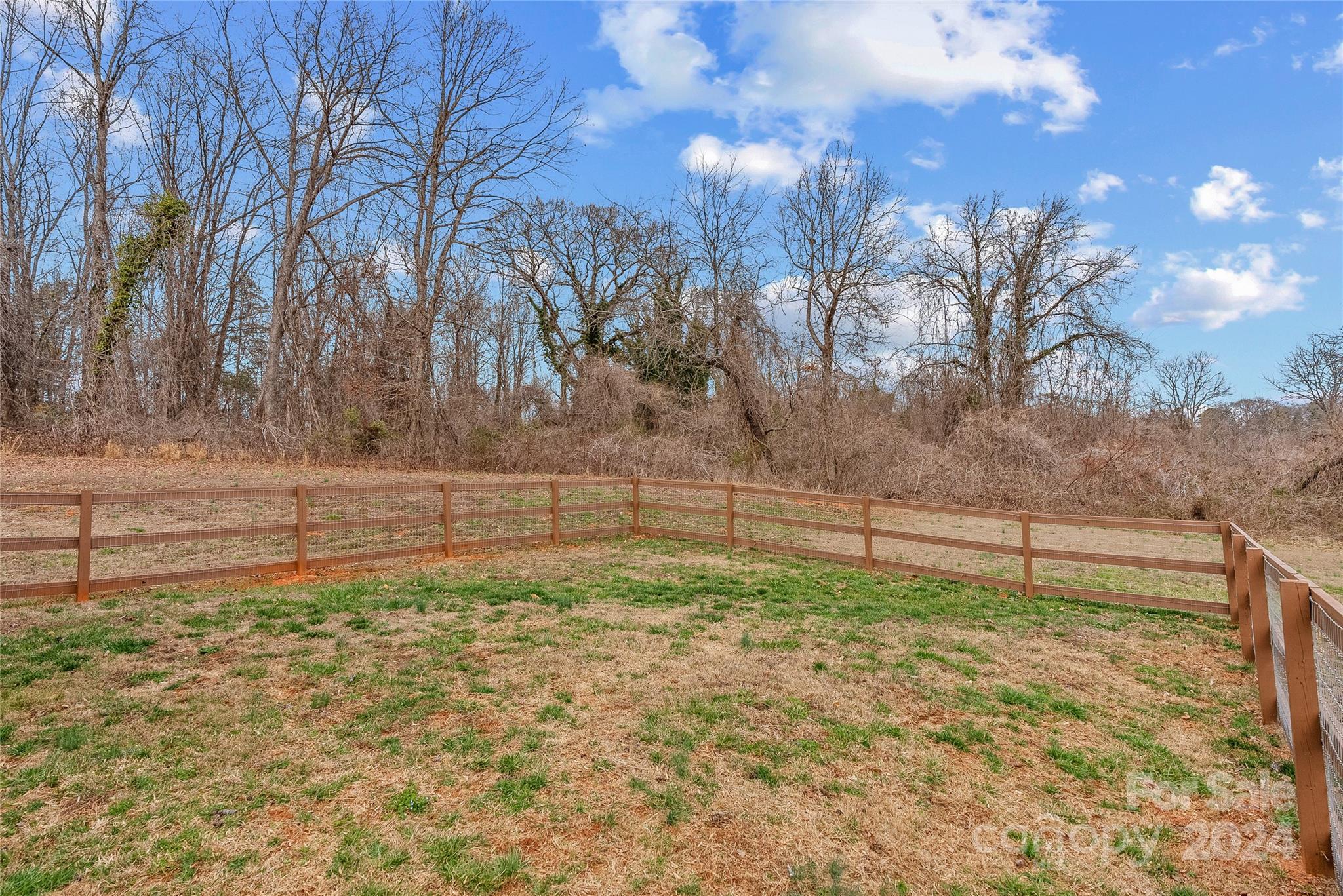 242 Maple Creek Road Rutherfordton, NC 28139 - Photo 3 of 37 a view of backyard and trees