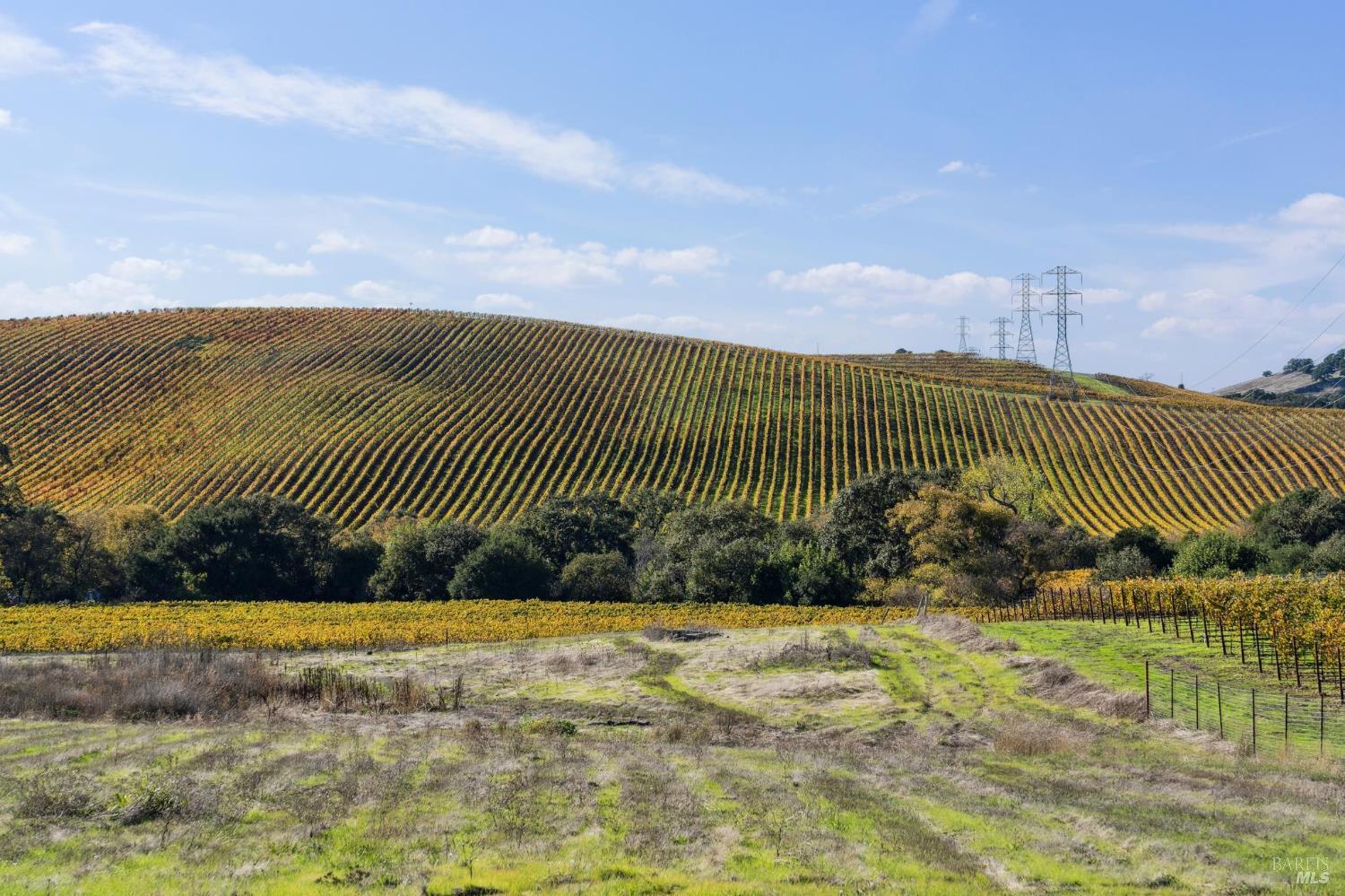 1301 Duhig Road Napa, CA 94559 - Photo 48 of 65