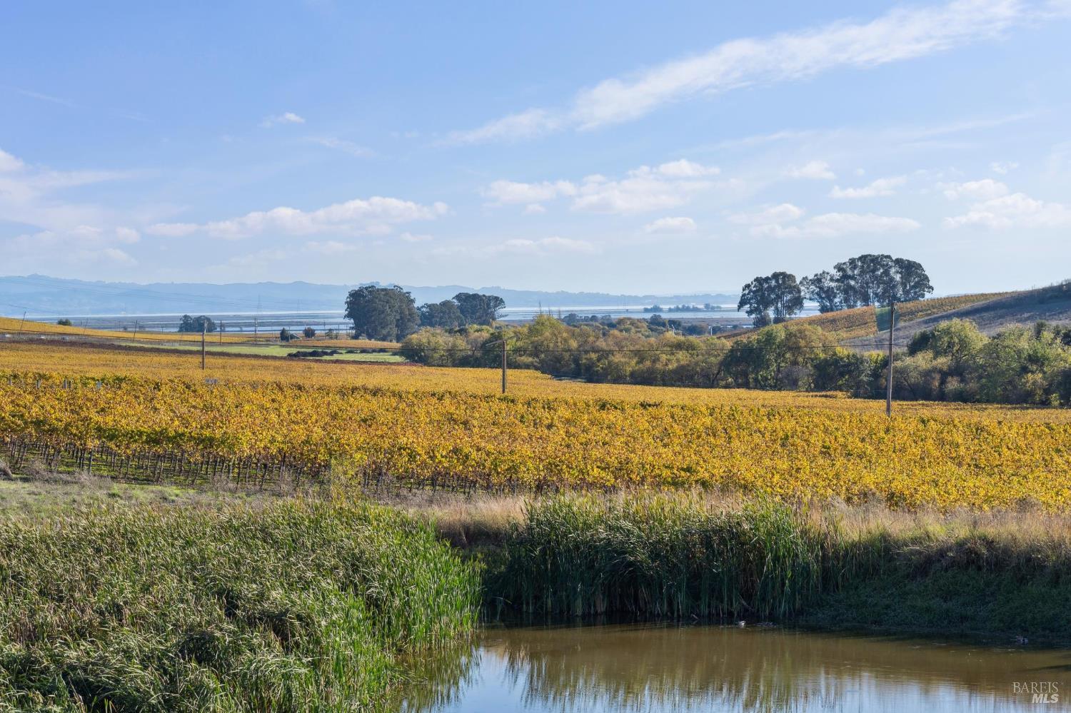 1301 Duhig Road Napa, CA 94559 - Photo 52 of 65