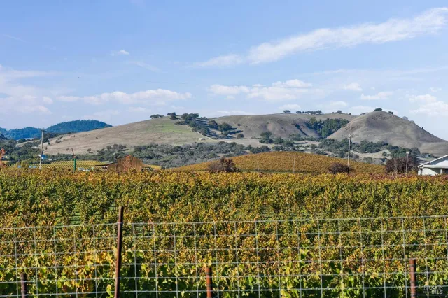 $1,999,999 | 1301 Duhig Road, Napa, CA 94559