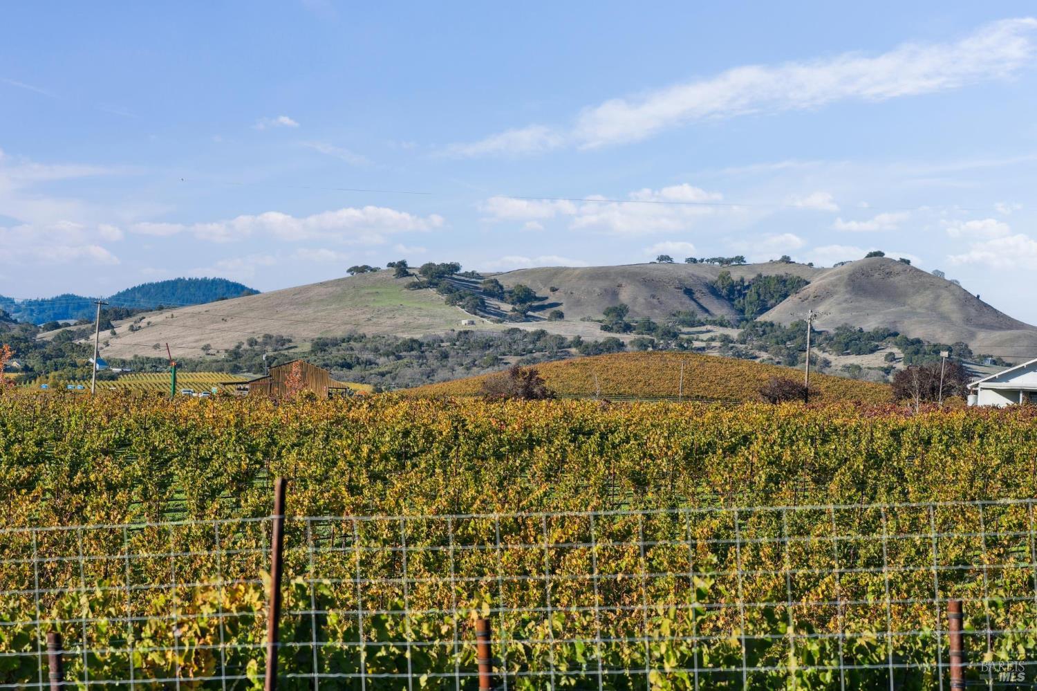 1301 Duhig Road Napa, CA 94559 - Photo 54 of 65