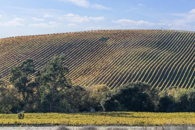 $1,999,999 | 1301 Duhig Road, Napa, CA 94559