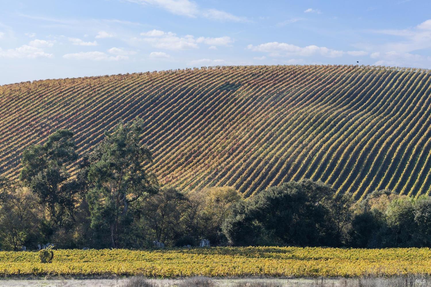 1301 Duhig Road Napa, CA 94559 - Photo 57 of 65