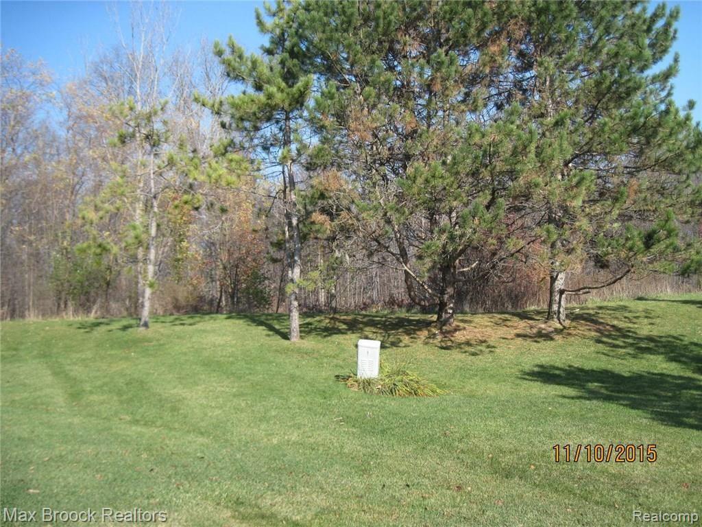 698 Charing Court Rochester Hills, MI 48307 - Photo 4 of 28