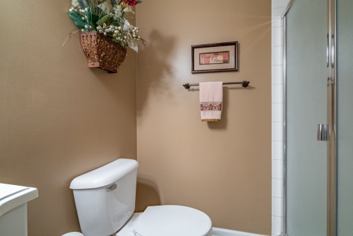 907 Angle Tarn West Dundee, IL 60118 - Photo 14 of 39