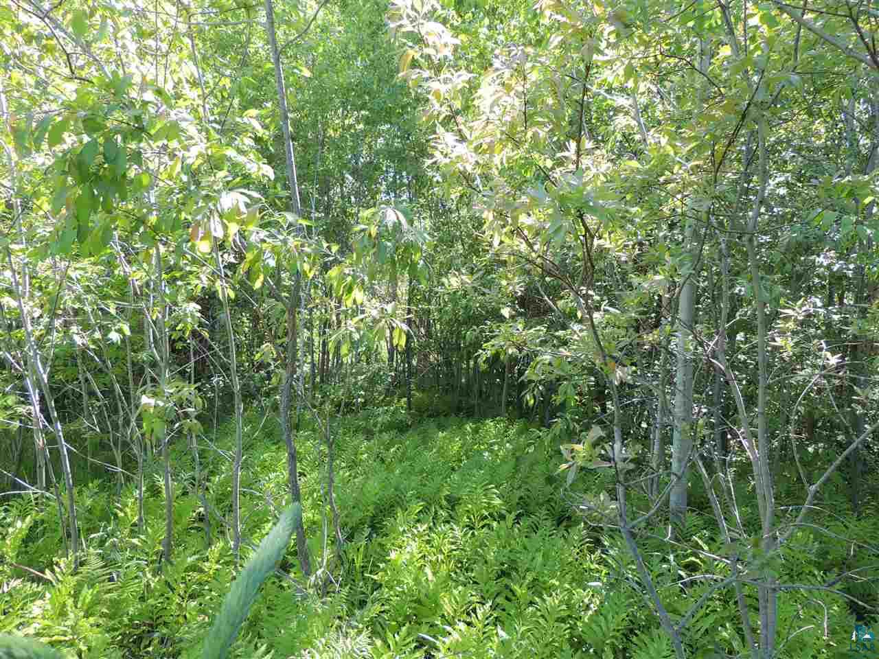 X41 Isak Ridge Lutsen, MN 55612 - Photo 12 of 13