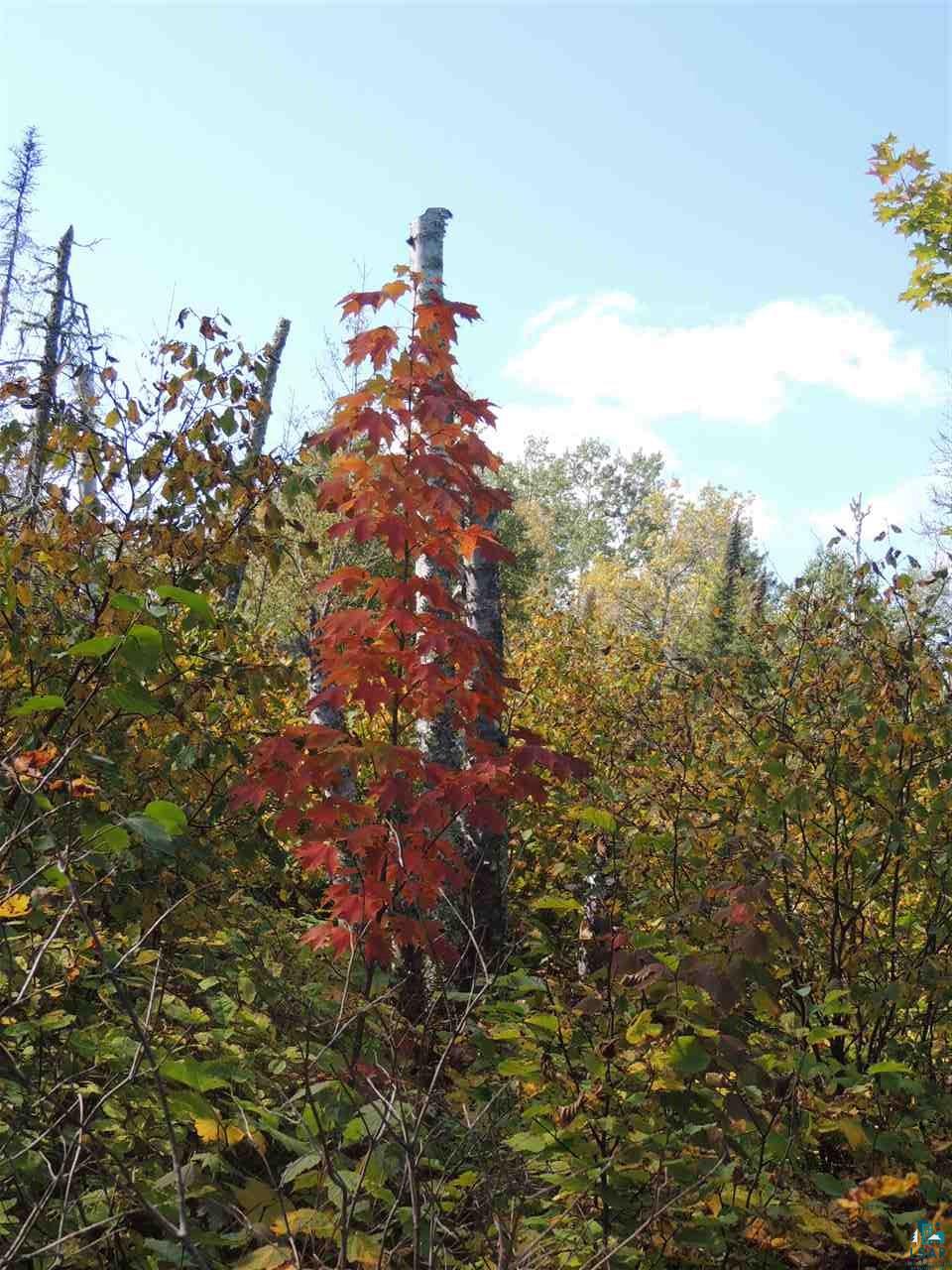 X41 Isak Ridge Lutsen, MN 55612 - Photo 7 of 13