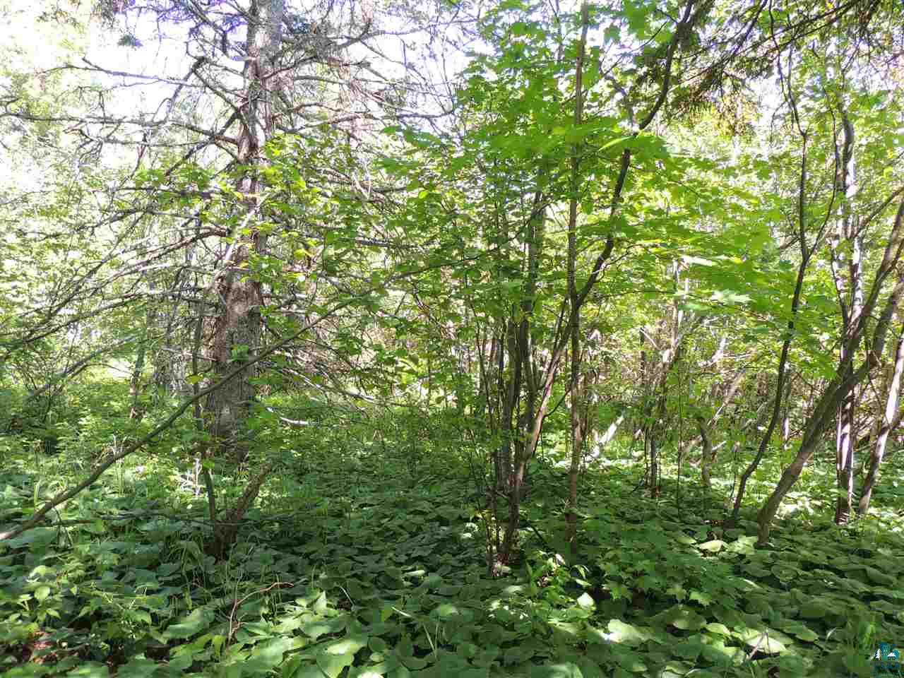 X41 Isak Ridge Lutsen, MN 55612 - Photo 8 of 13