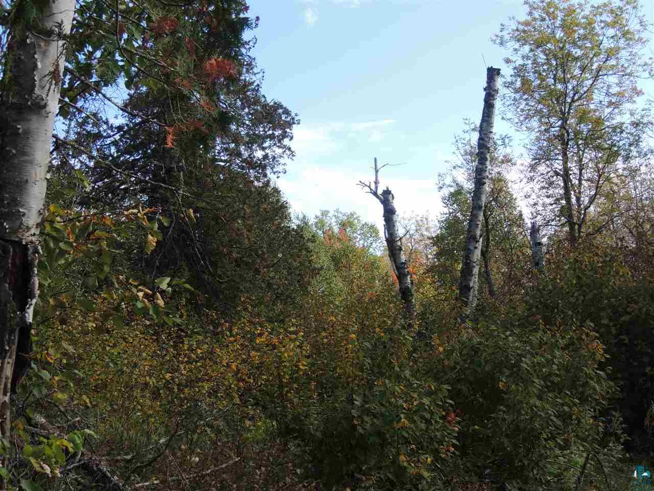 X41 Isak Ridge Lutsen, MN 55612 - Photo 9 of 13