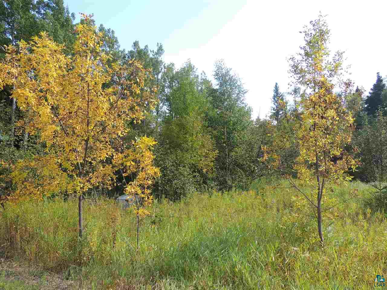X41 Isak Ridge Lutsen, MN 55612 - Photo 10 of 13