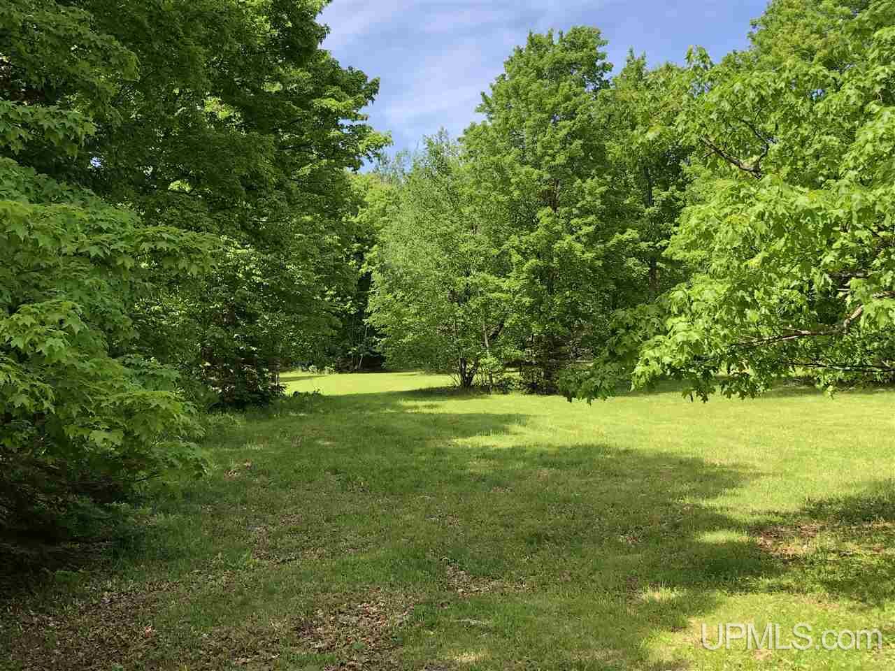 Tbd West Edge Road Germfask, MI 49836 - Photo 13 of 30 Gallery Image 13