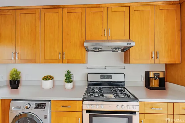 a kitchen with a stove a sink cabinetry and potted plant