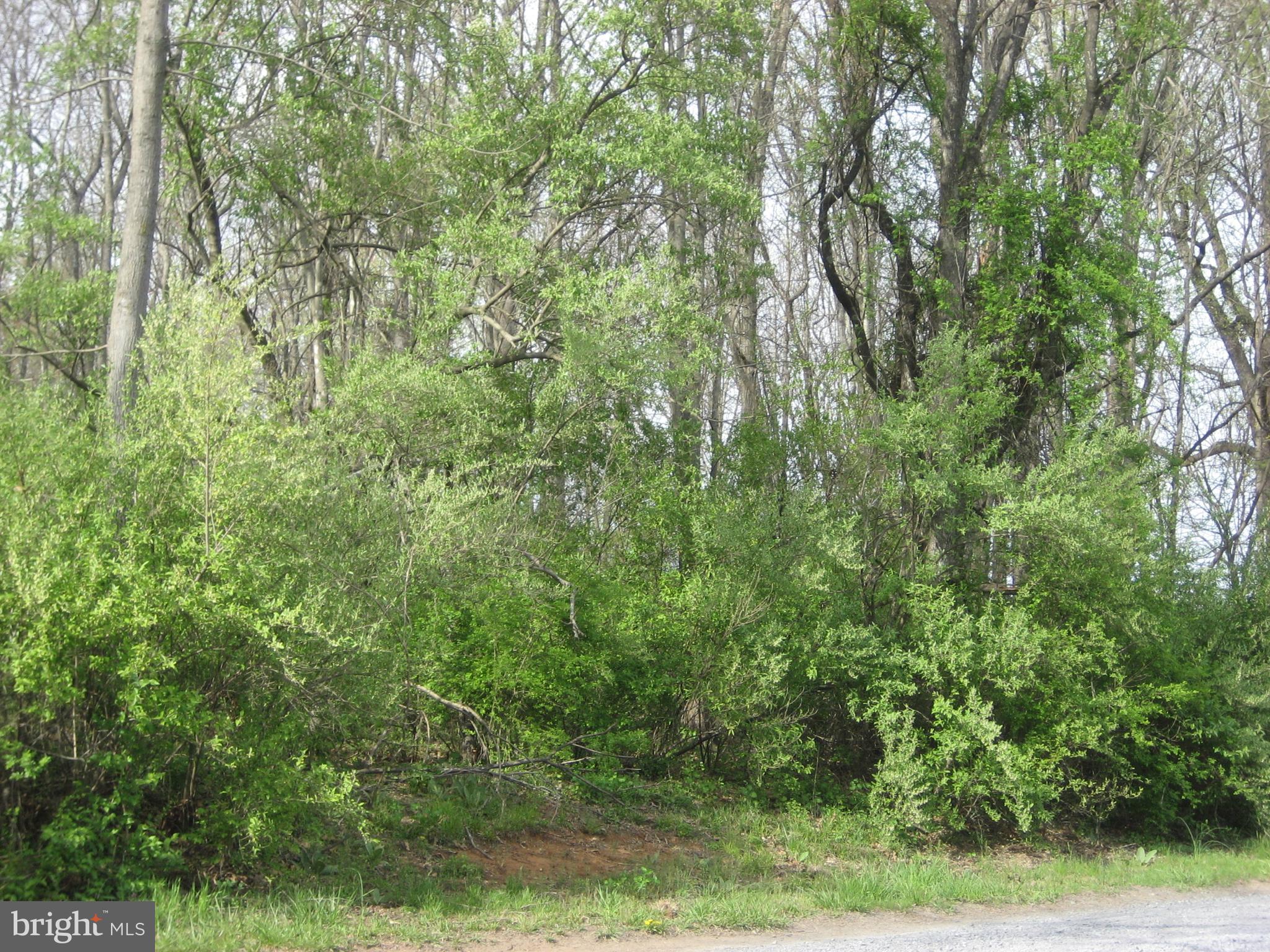 Silo Road Marshall, VA 20115 - Photo 12 of 14 Lot on Silo Road