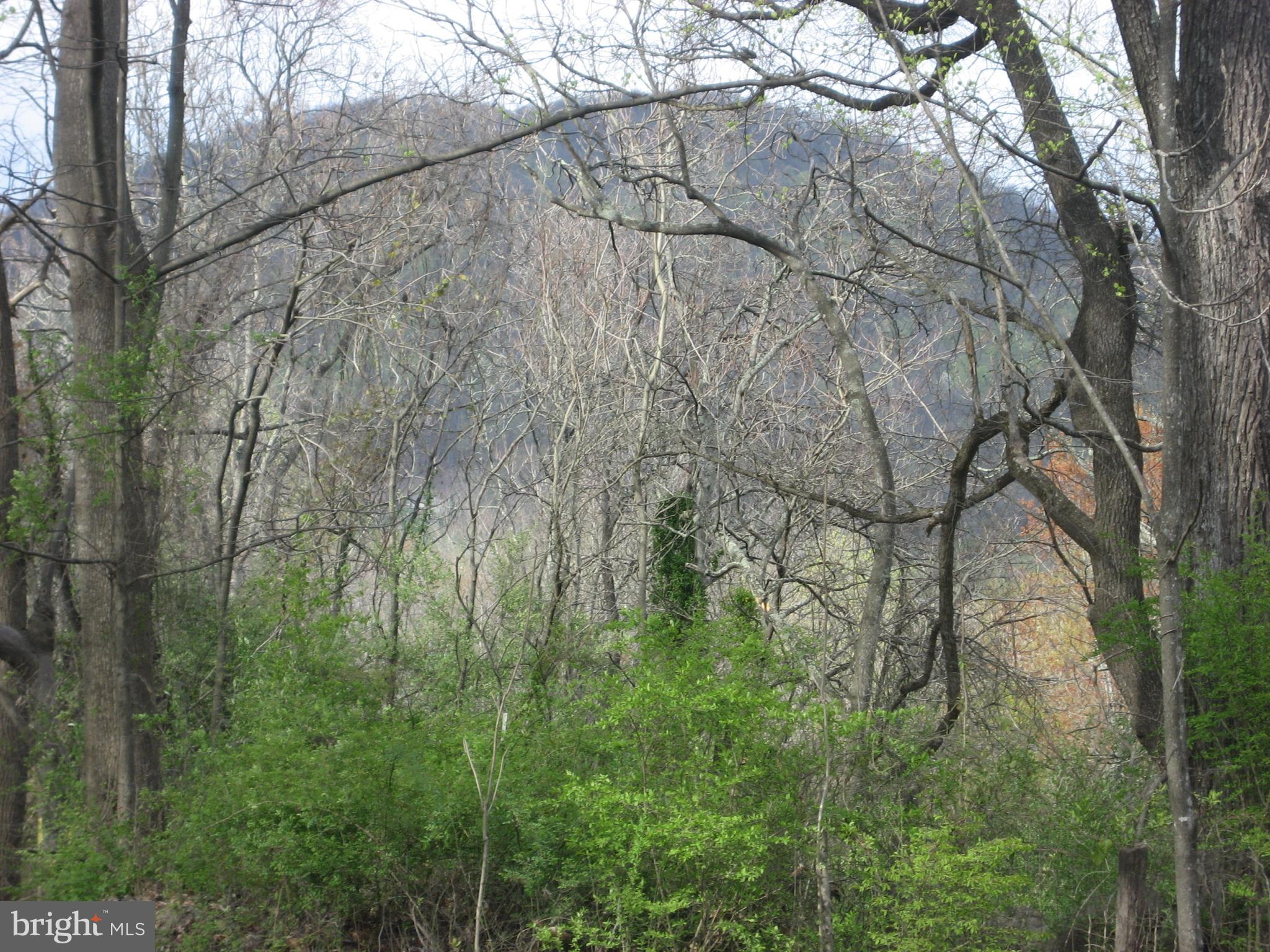 Silo Road Marshall, VA 20115 - Photo 2 of 14 See the Big Cobbler Mountain from you porch