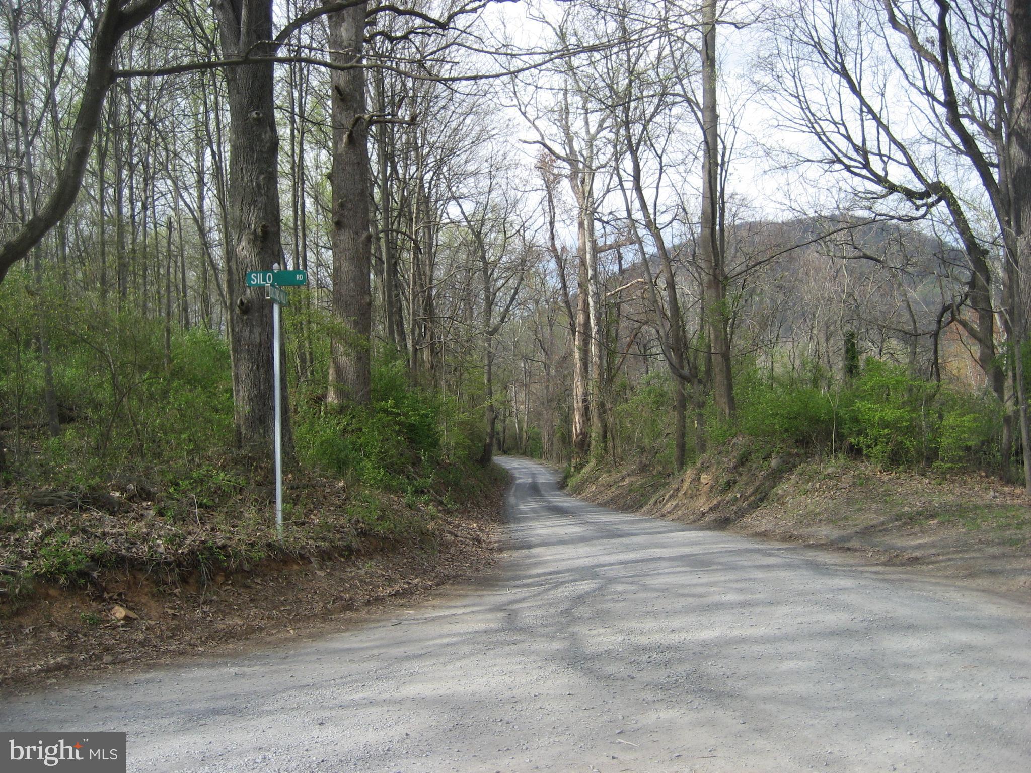 Silo Road Marshall, VA 20115 - Photo 6 of 14 Road View on Dixon Mill