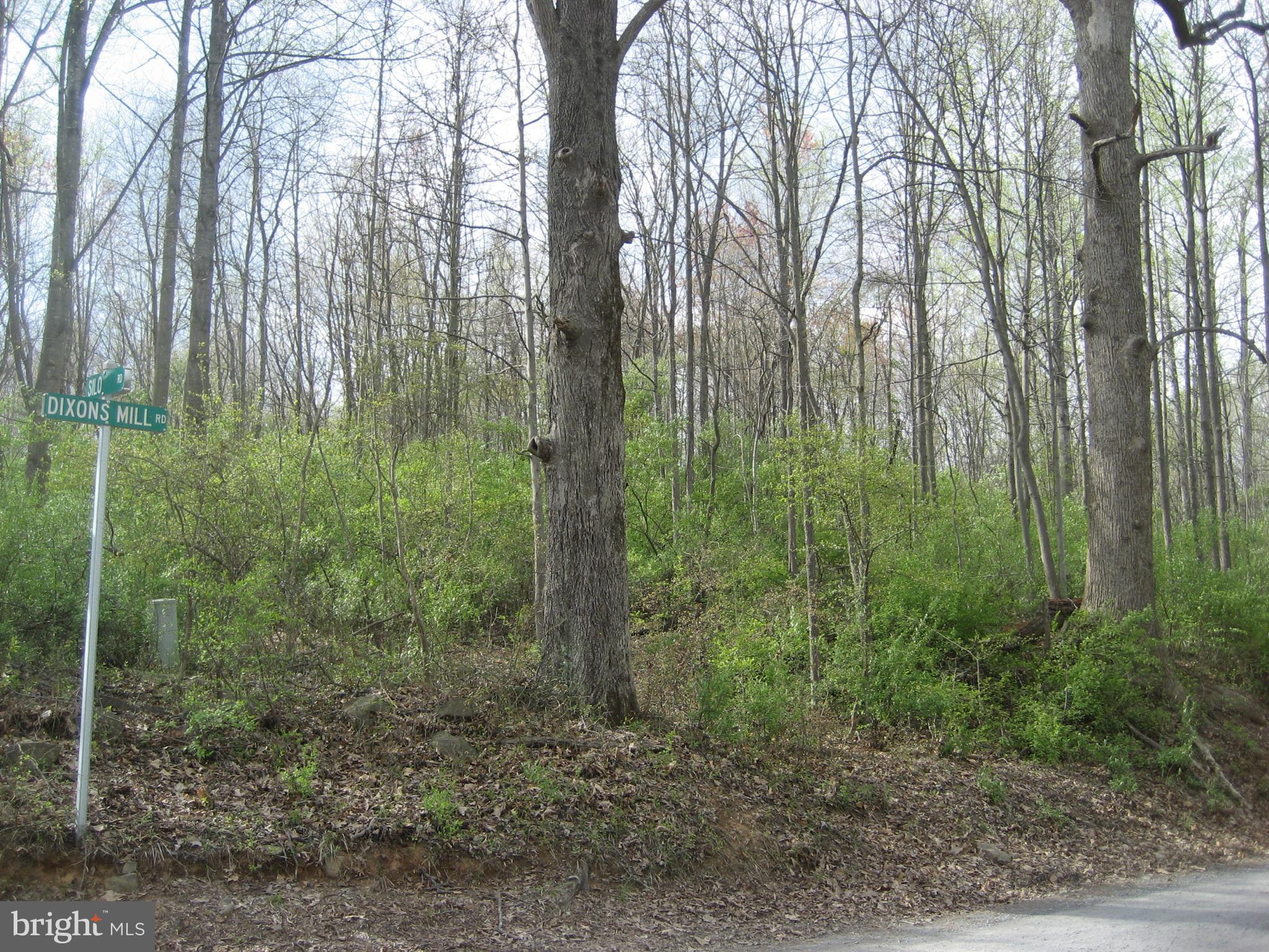 Silo Road Marshall, VA 20115 - Photo 7 of 14 Road Frontage on Dixons Mill Road