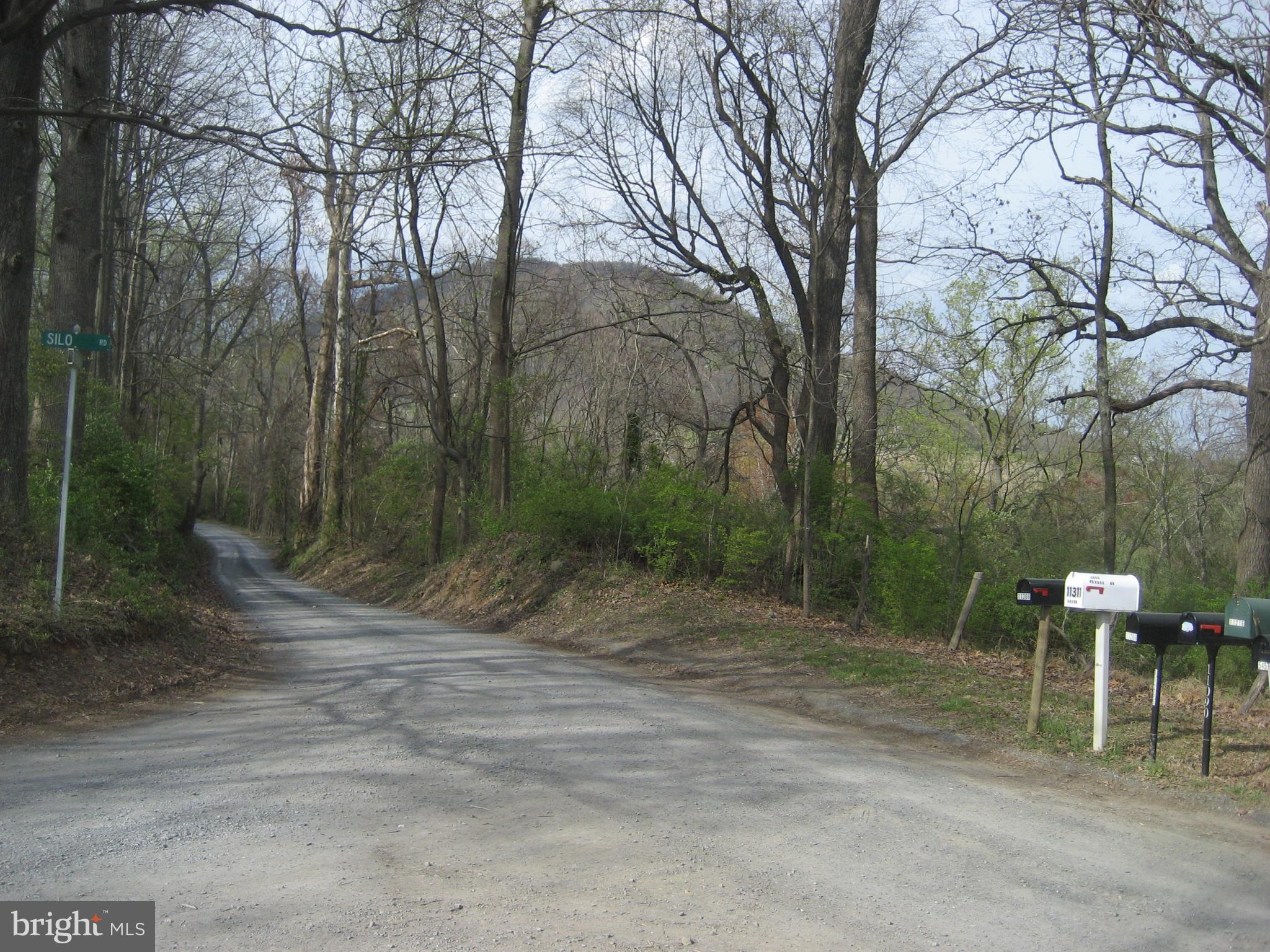 Silo Road Marshall, VA 20115 - Photo 8 of 14 See Big Cobbler from Silo Road