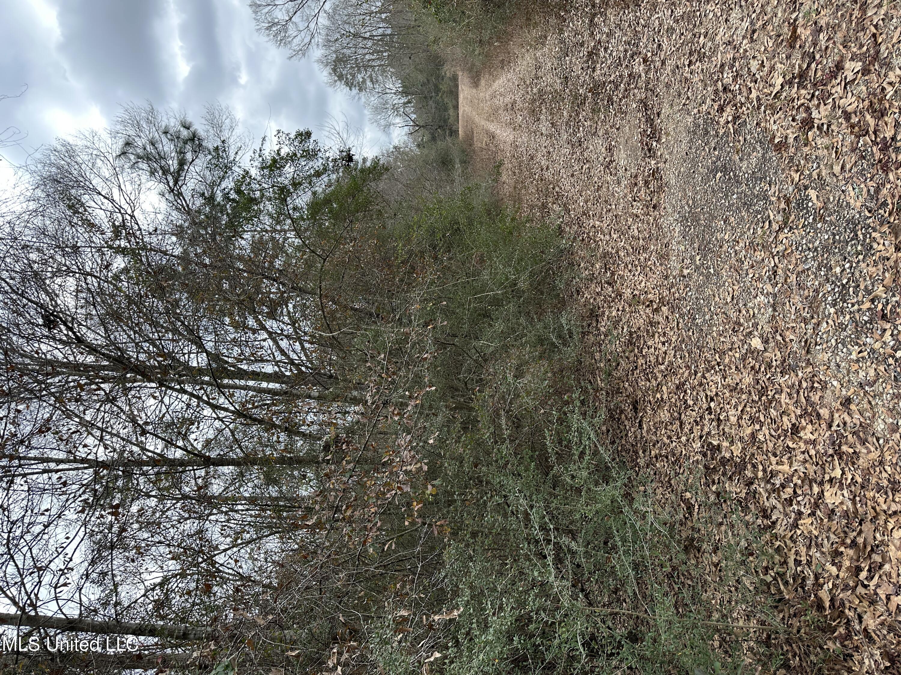 0 Barbara Lane Poplarville, MS 39470 - Photo 1 of 7 0 Barbara Lane, Lumberton MS