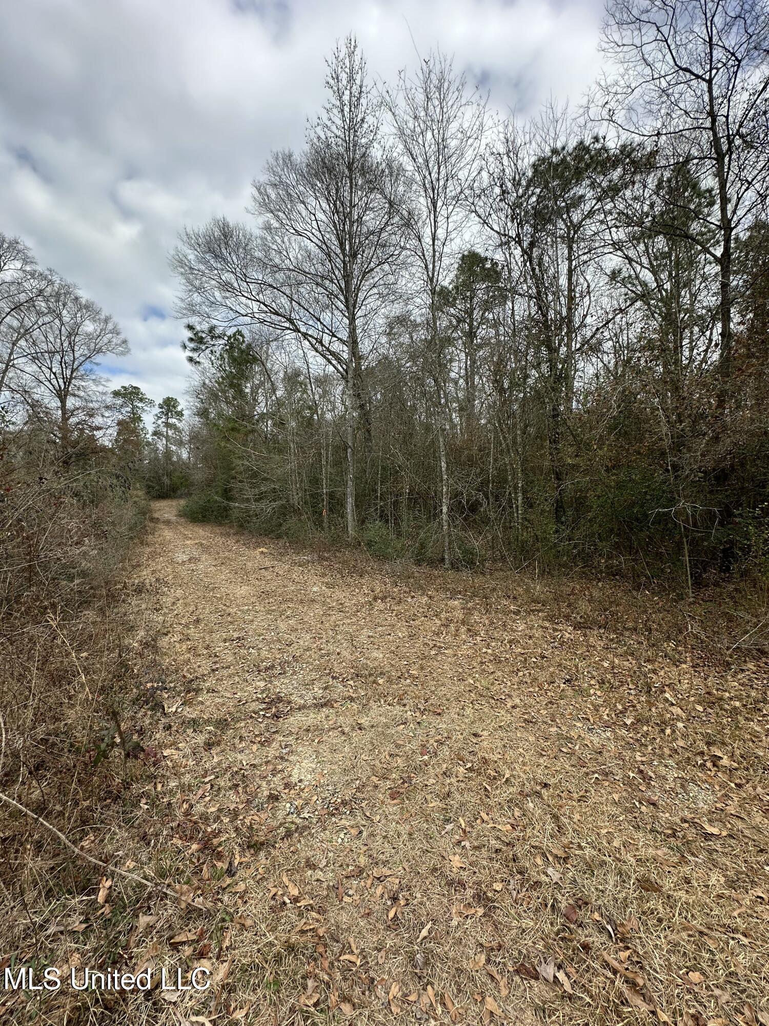 0 Barbara Lane Poplarville, MS 39470 - Photo 2 of 7 tempImageEWPkmc