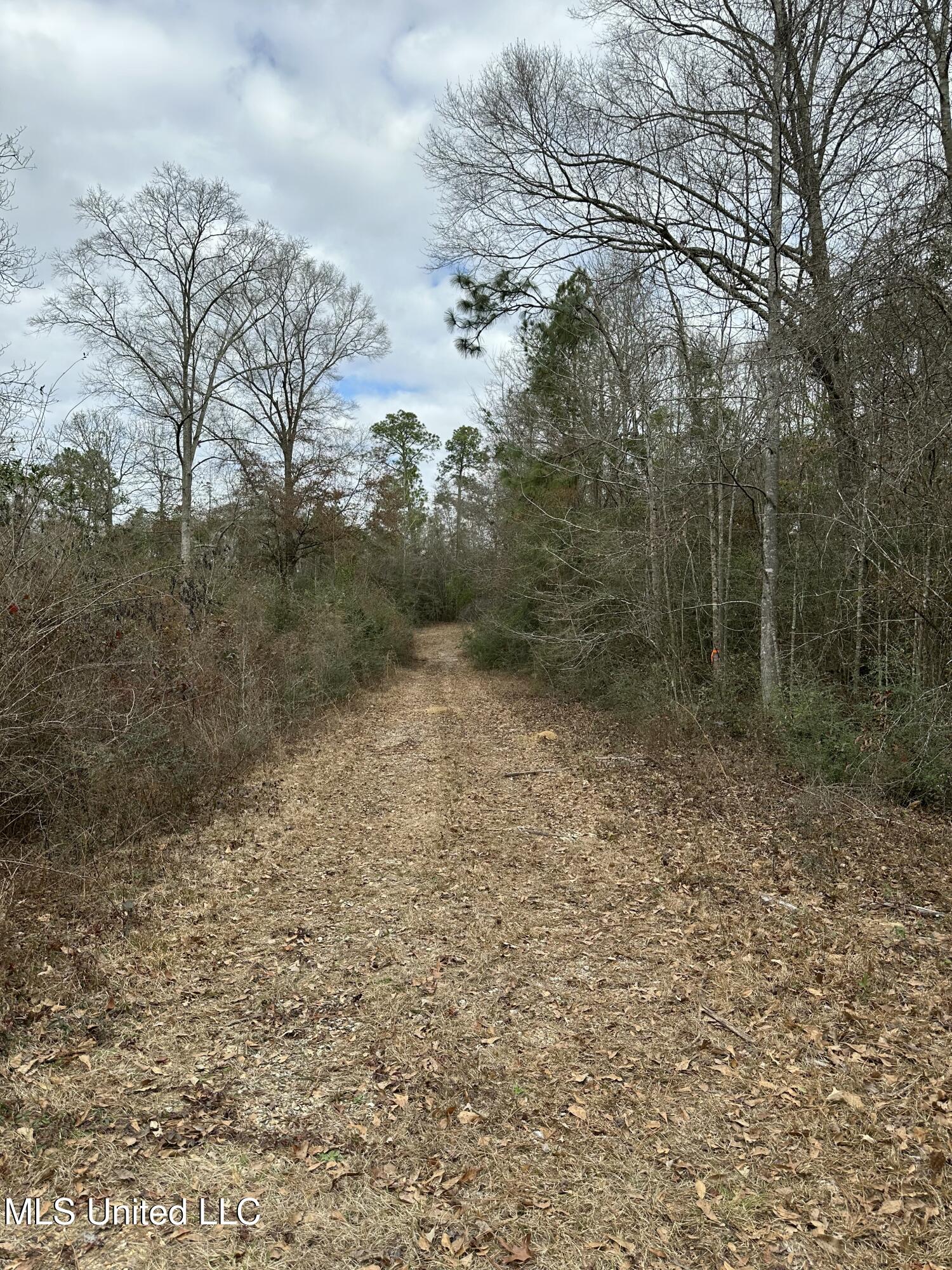 0 Barbara Lane Poplarville, MS 39470 - Photo 5 of 7 tempImagen83gvX