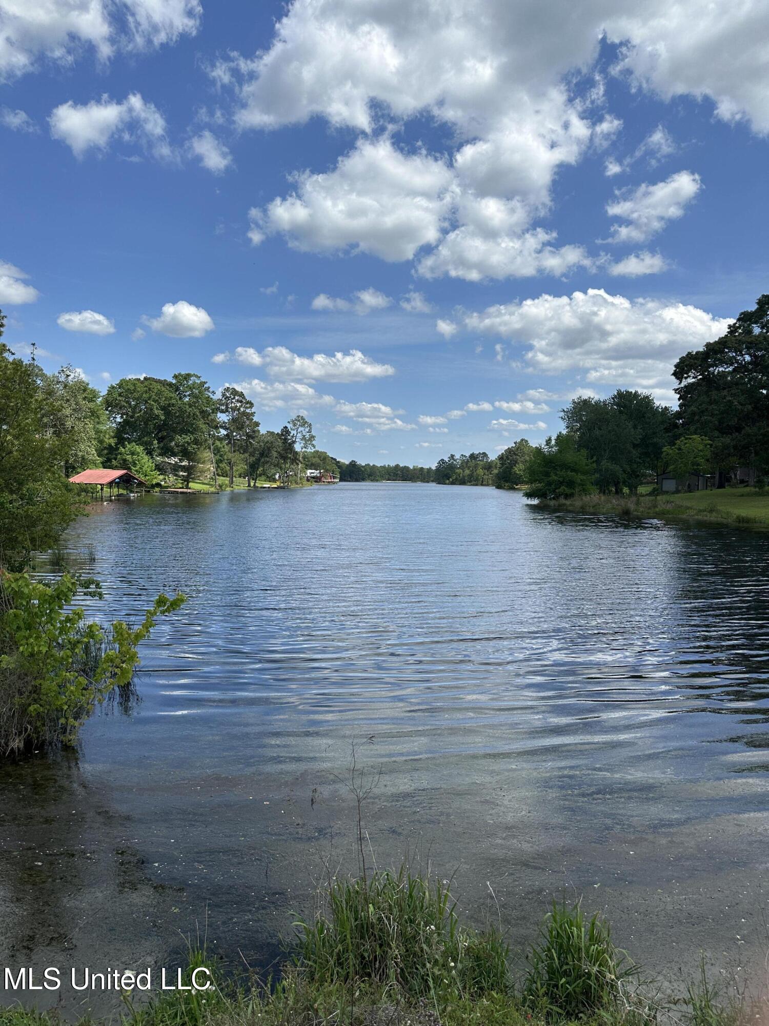 0 Barbara Lane Poplarville, MS 39470 - Photo 6 of 7 IMG_1942