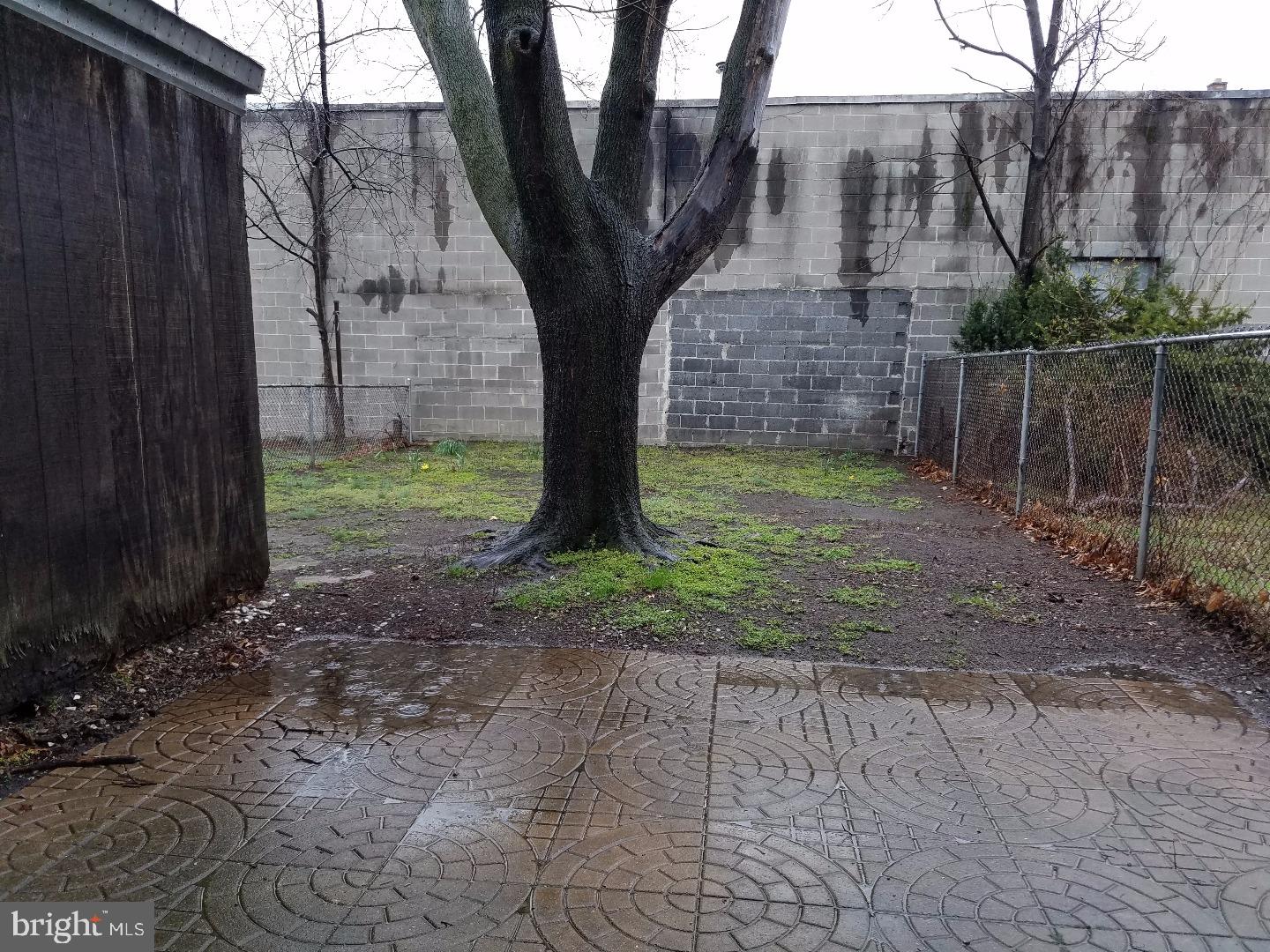 419 Bridgeboro Street Riverside, NJ 08075 - Photo 24 of 25 Back Yard