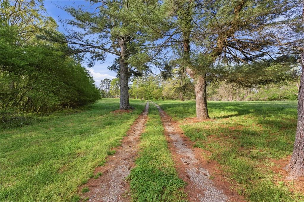6668 Belton Bridge Road Lula, GA 30554 - Photo 18 of 29 a view of a yard with a tree