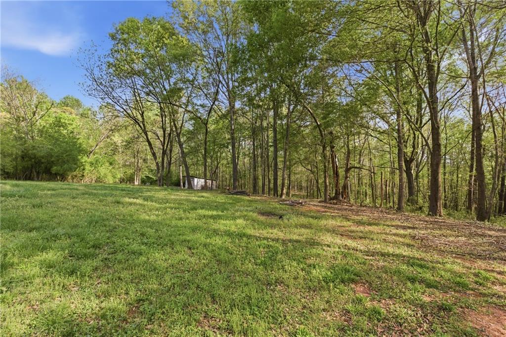 6668 Belton Bridge Road Lula, GA 30554 - Photo 4 of 29 a view of outdoor space with trees all around