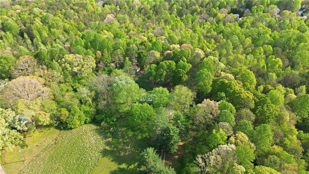 6668 Belton Bridge Road Lula, GA 30554 - Photo 7 of 29 a view of a lush green forest
