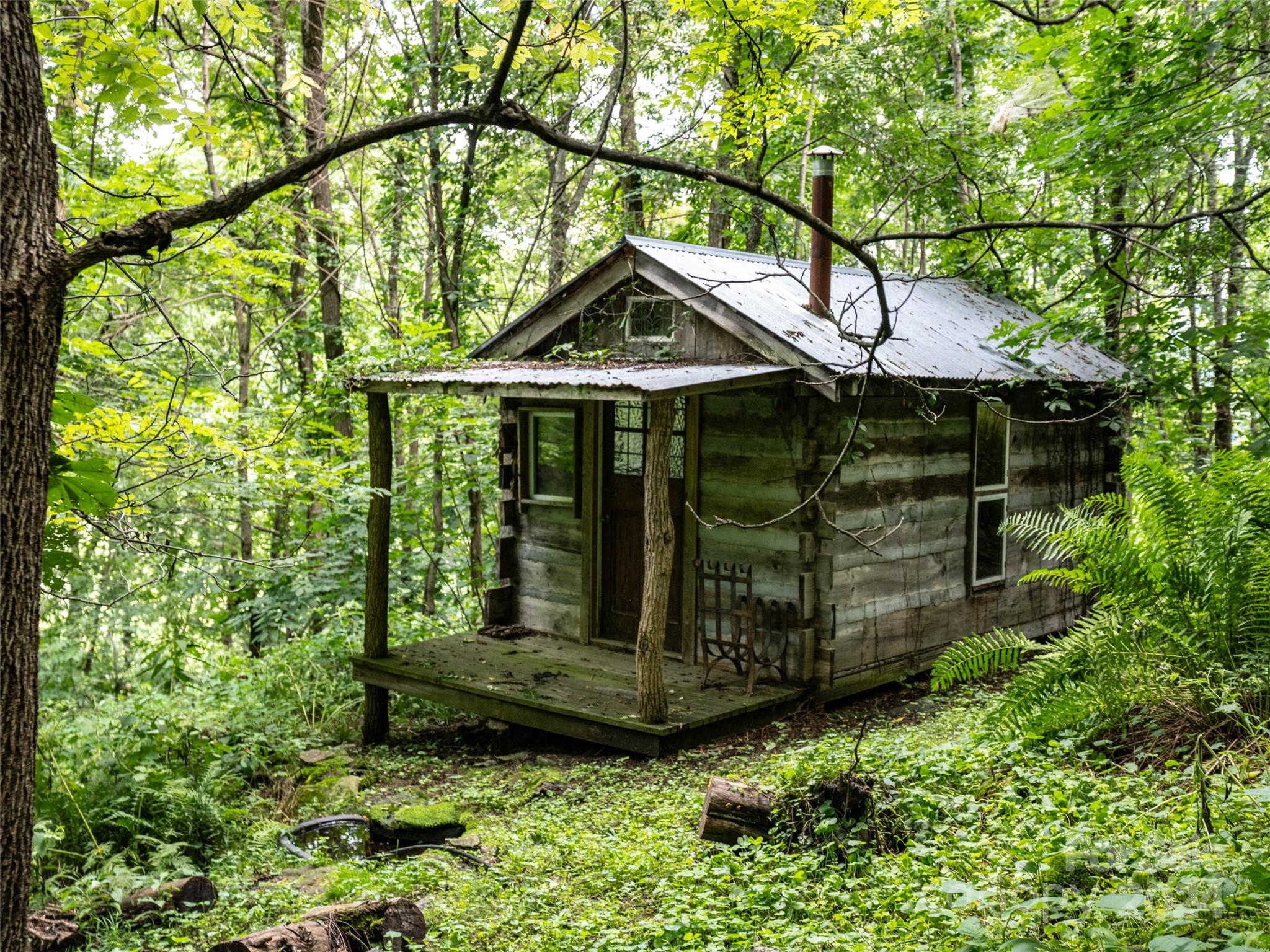 1001 Mountain Glen Road Canton, NC 28716 - Photo 27 of 47