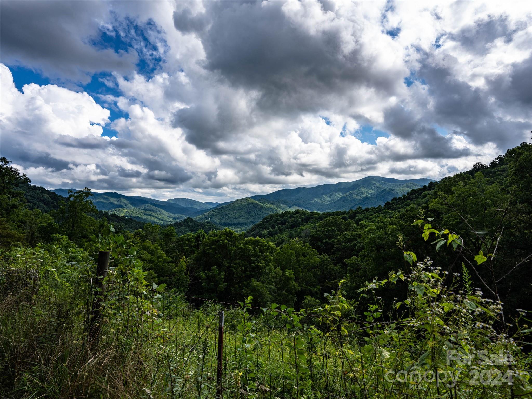 1001 Mountain Glen Road Canton, NC 28716 - Photo 37 of 47