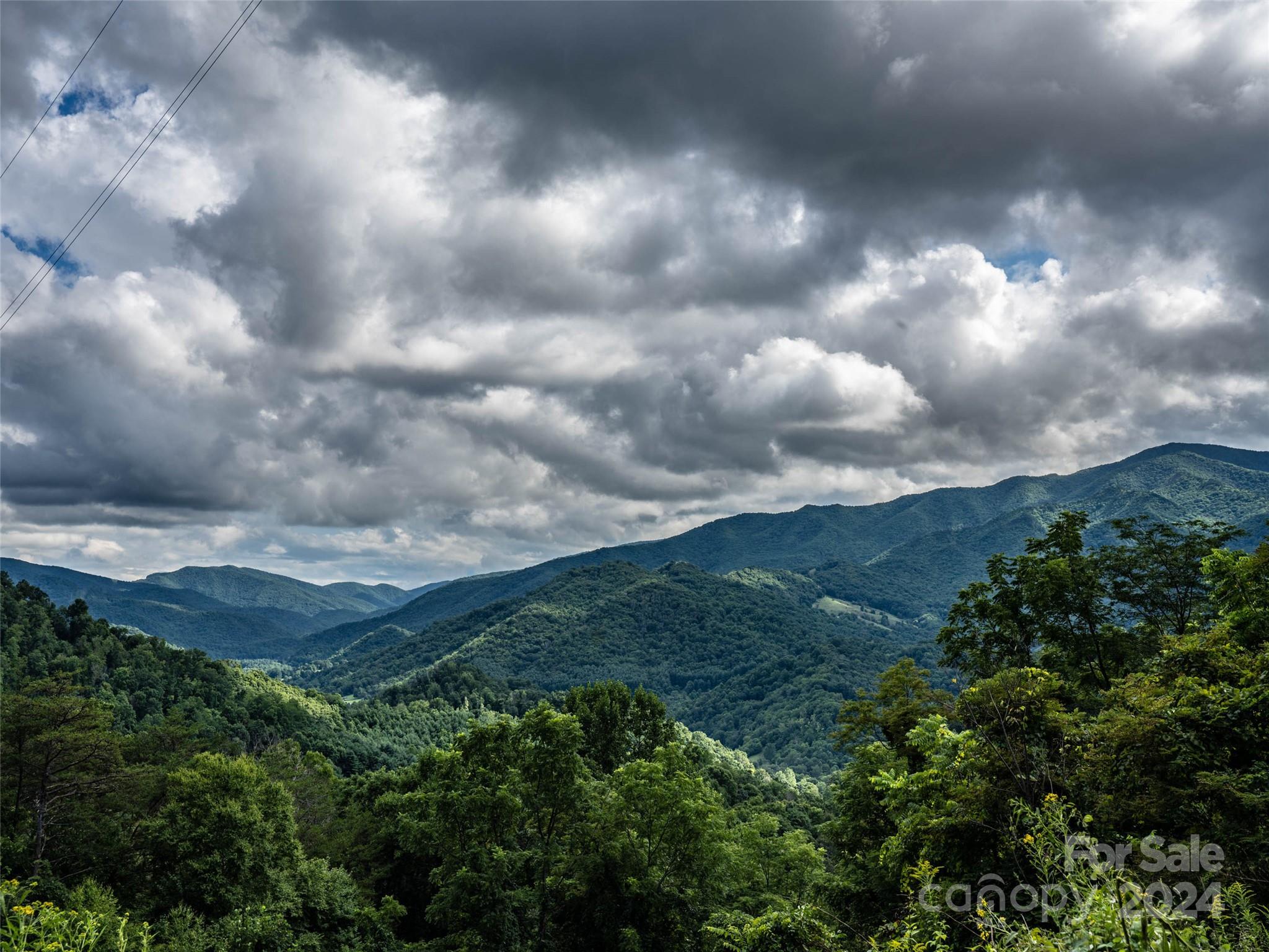 1001 Mountain Glen Road Canton, NC 28716 - Photo 38 of 47
