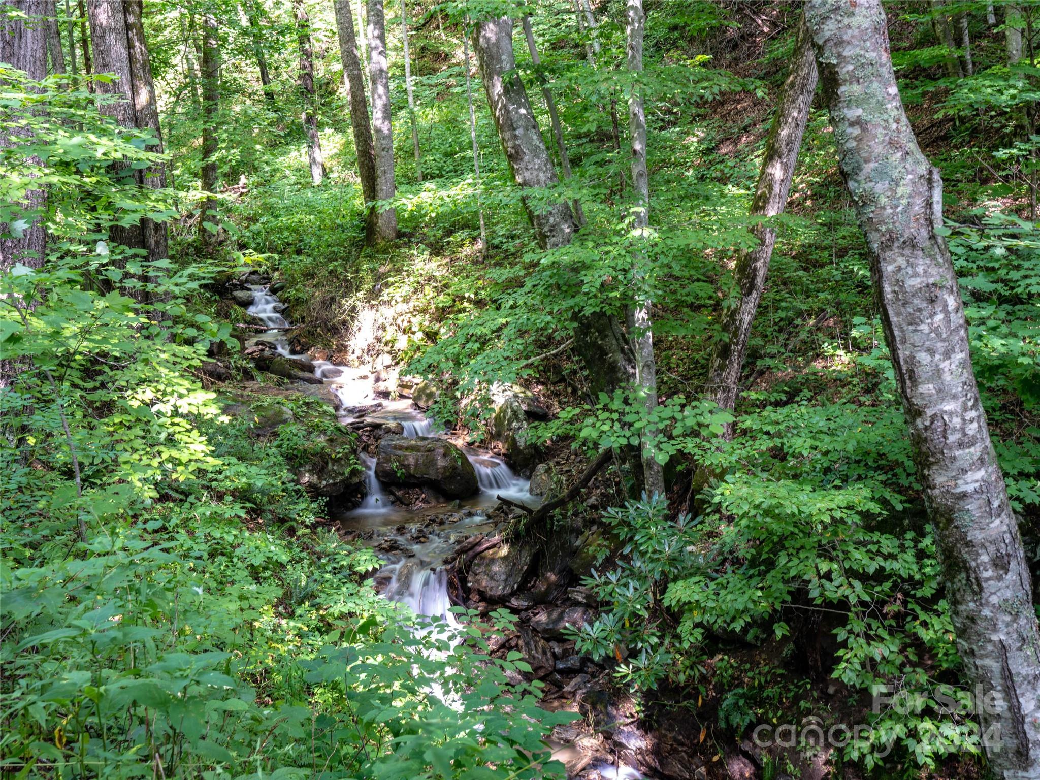 1001 Mountain Glen Road Canton, NC 28716 - Photo 39 of 47